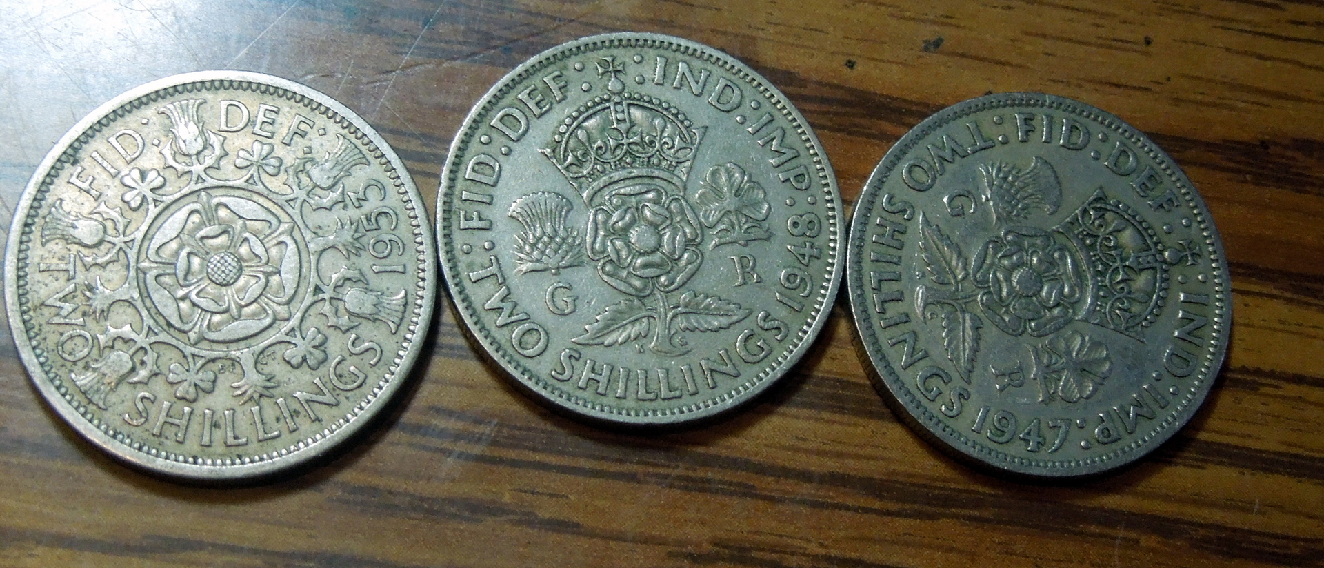 DSCN7869.JPG