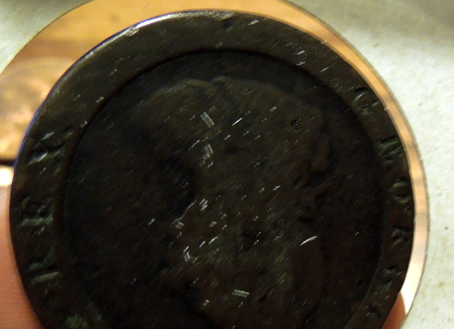 DSCN8006.JPG