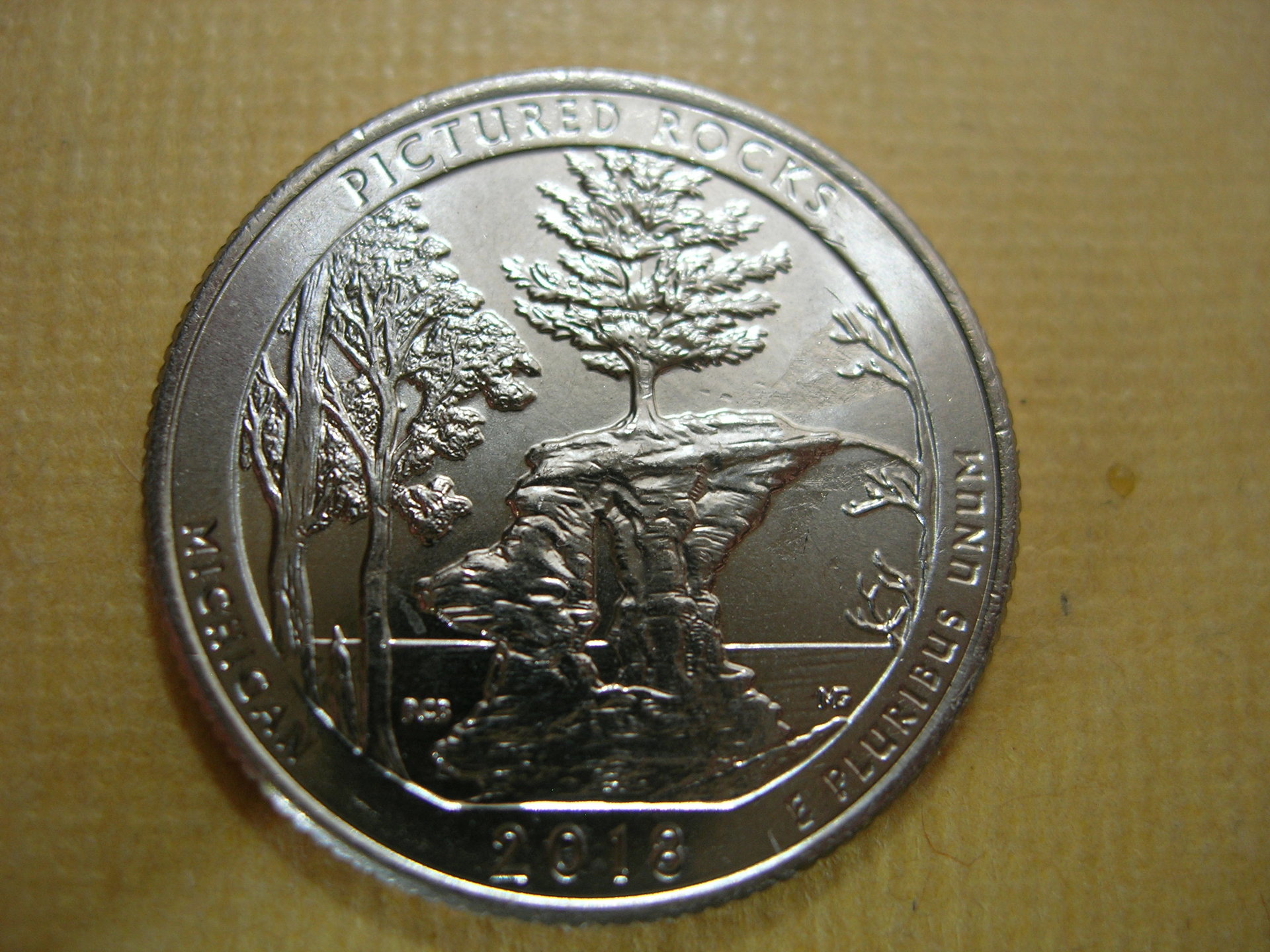 DSCN8077.JPG