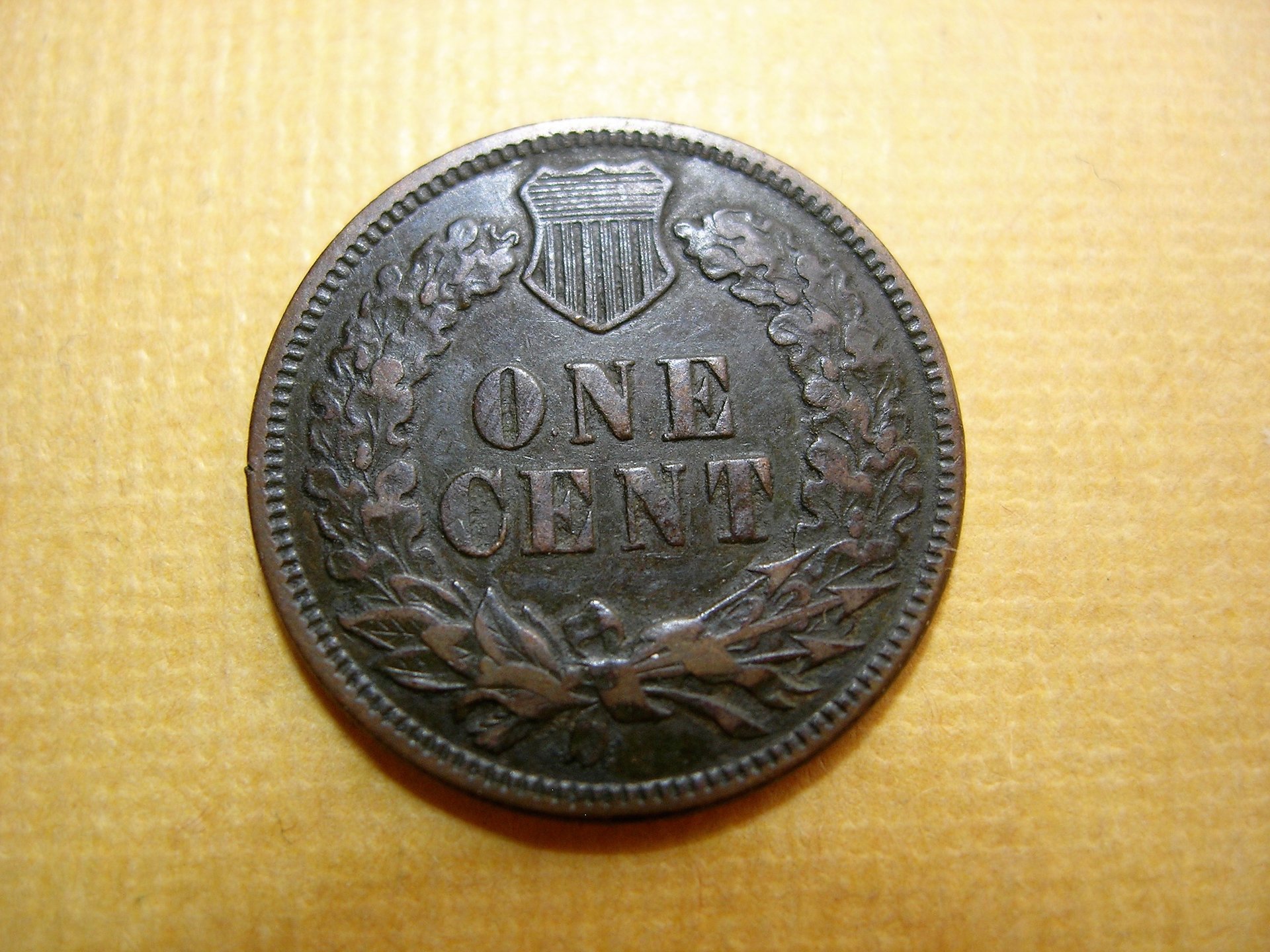 DSCN8138.jpg