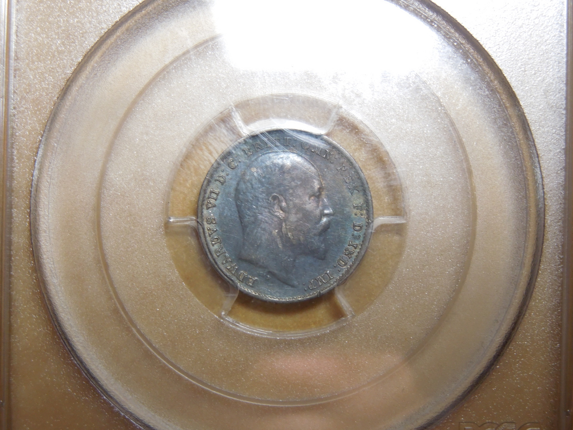 DSCN8250.JPG