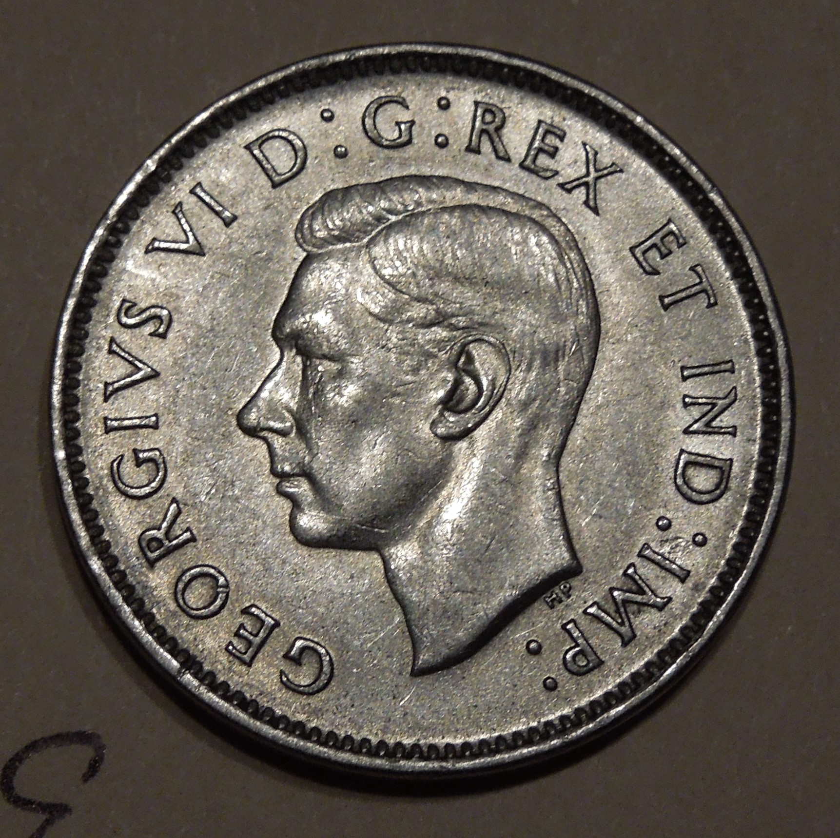 DSCN8571.JPG