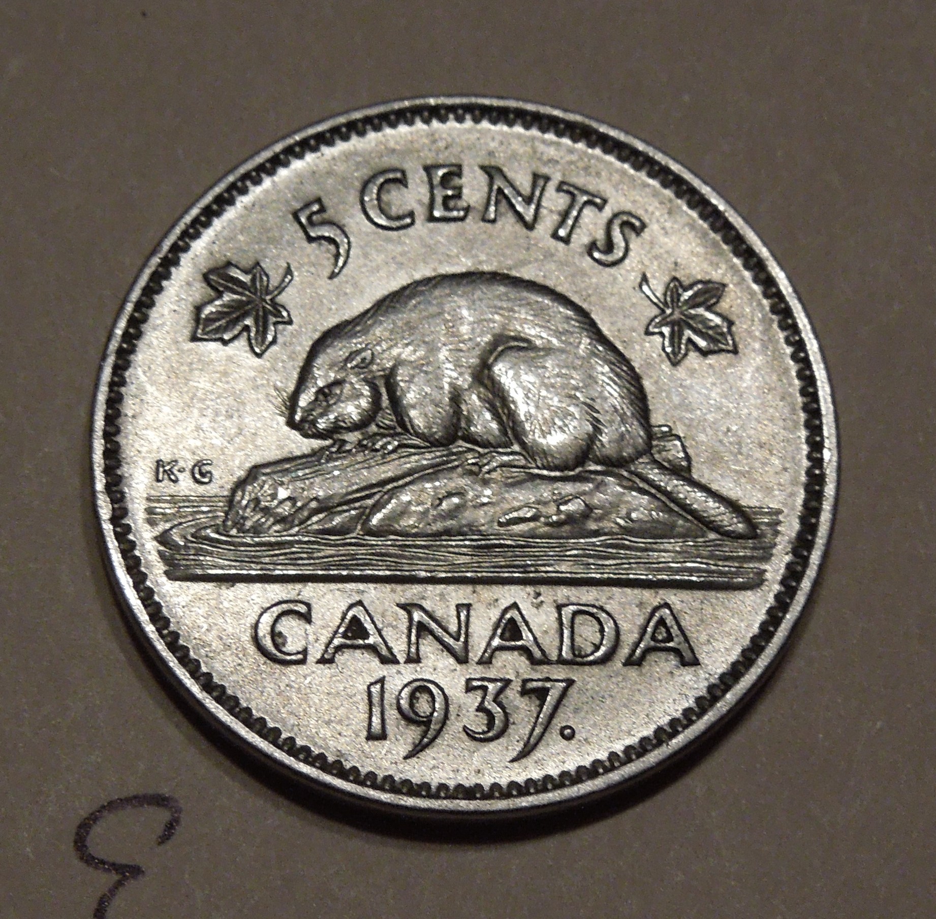DSCN8572.JPG