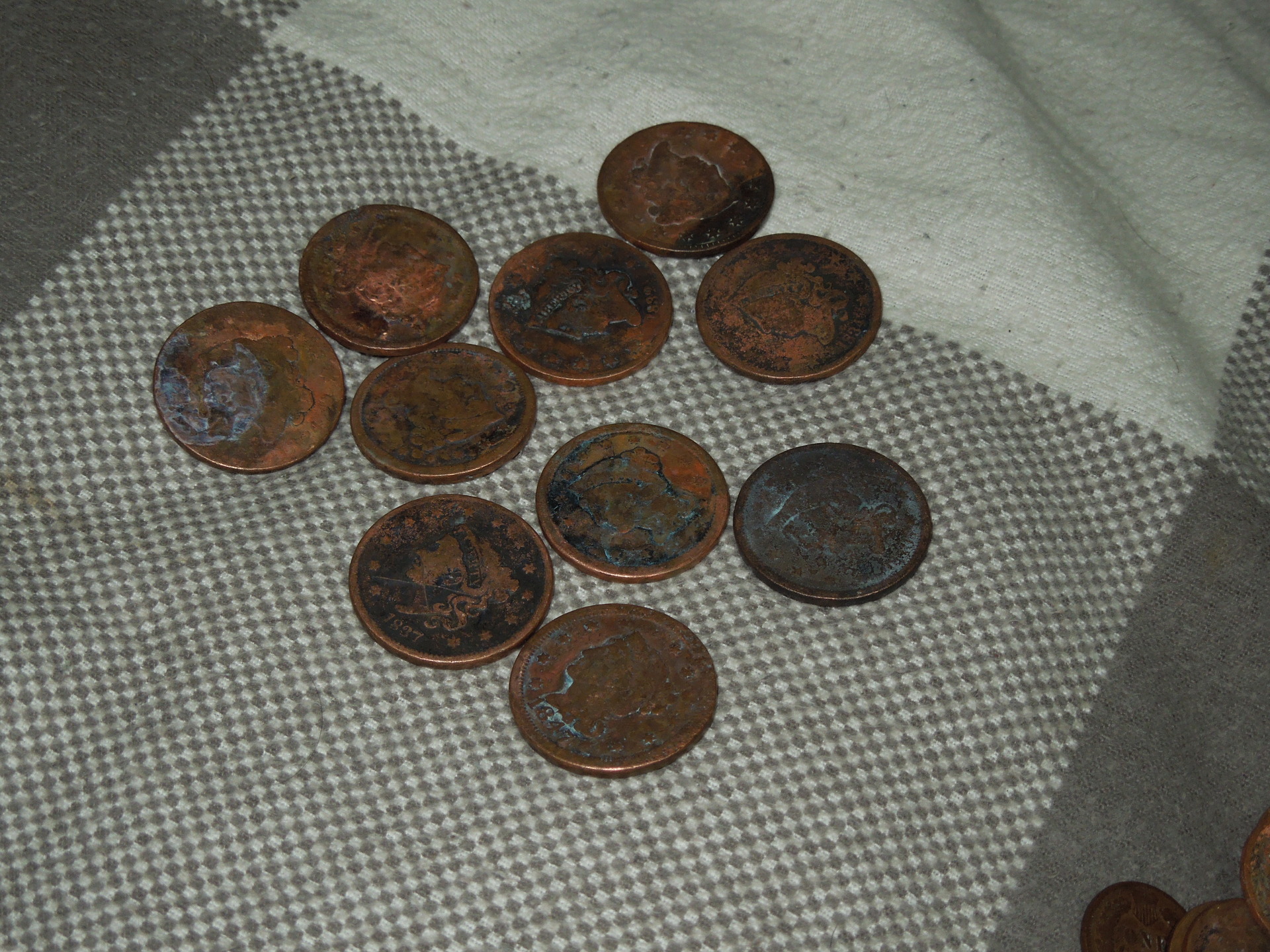 DSCN8878.JPG