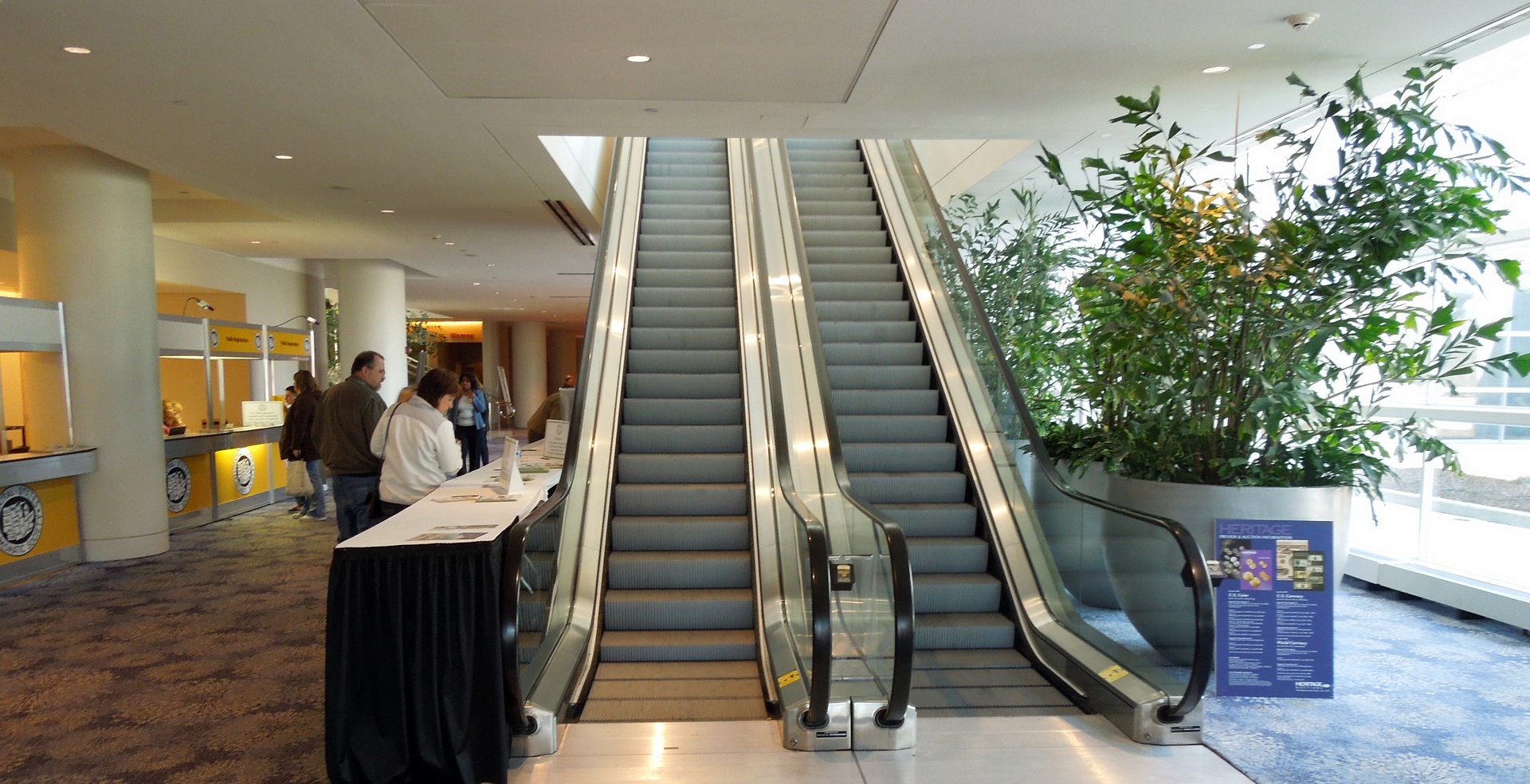DSCN9310.JPG
