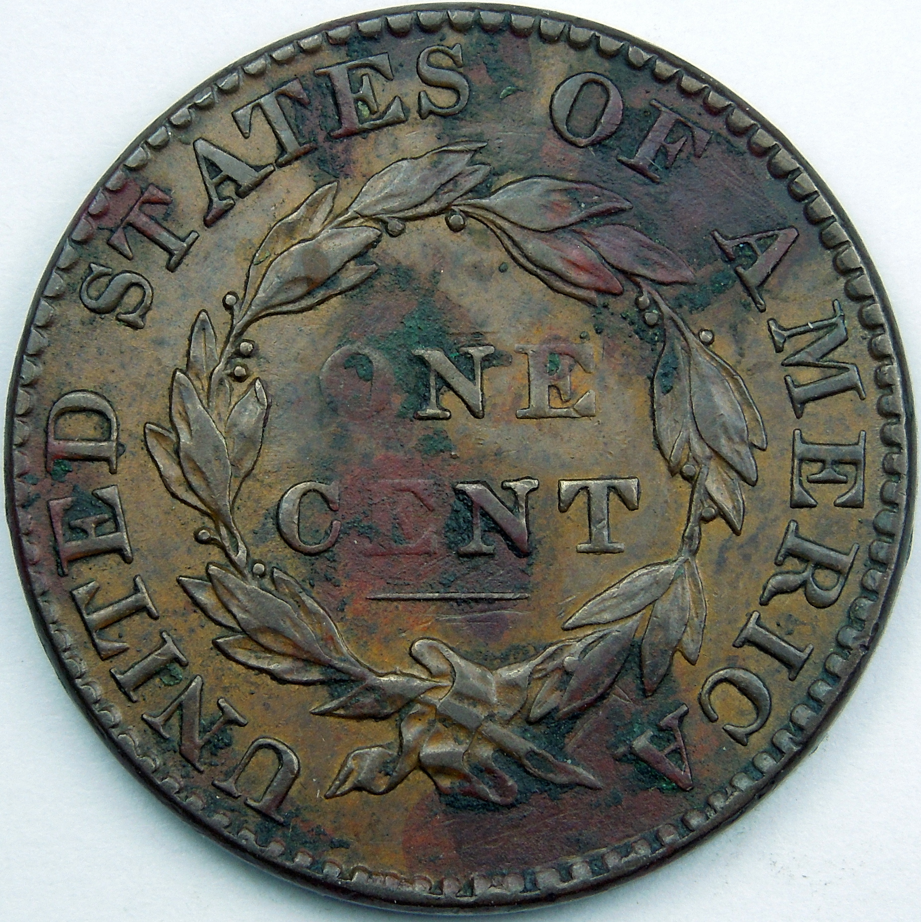 DSCN9503.JPG