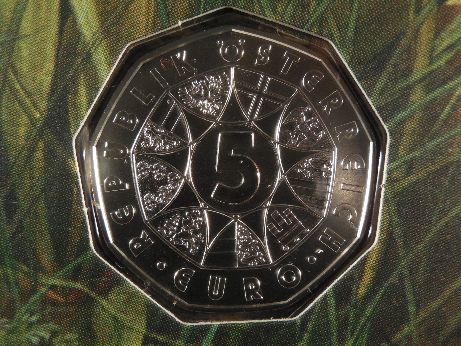 DSCN9531.JPG