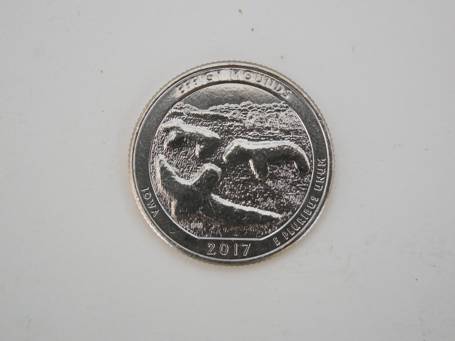 DSCN9593.JPG
