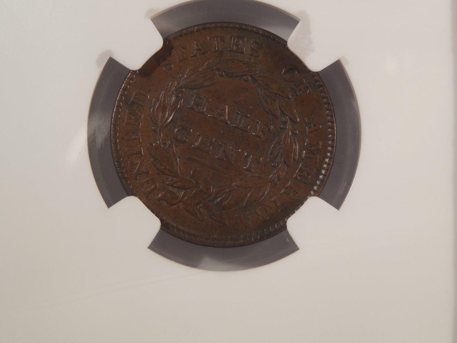 DSCN9662.JPG
