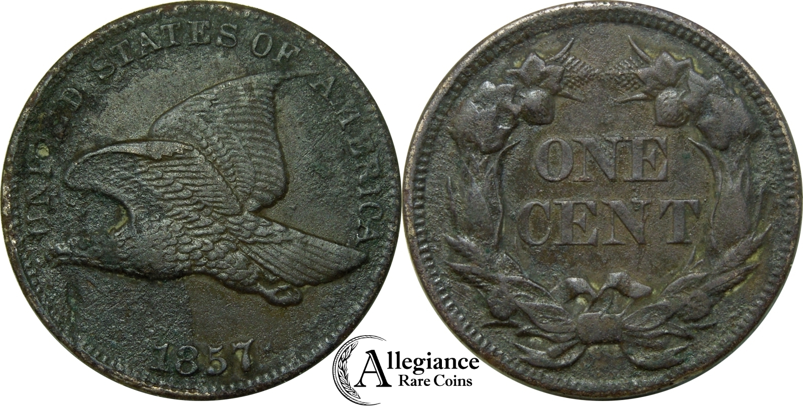 DSCN9706-side.JPG