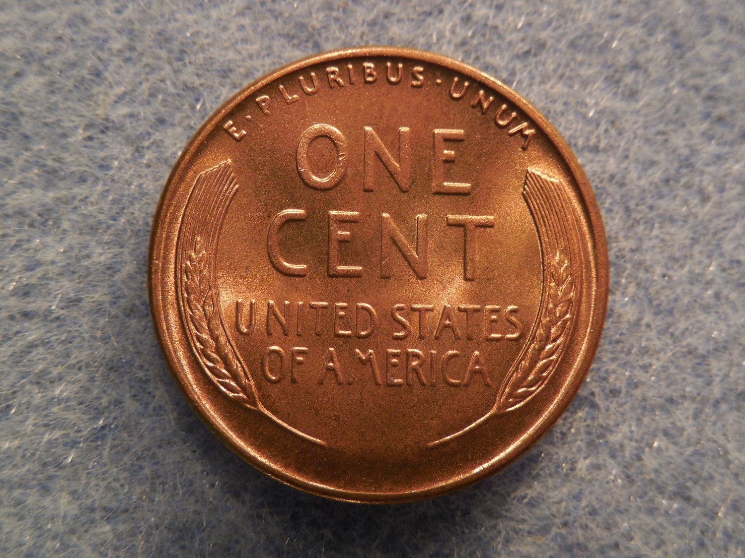 DSCN9780.JPG