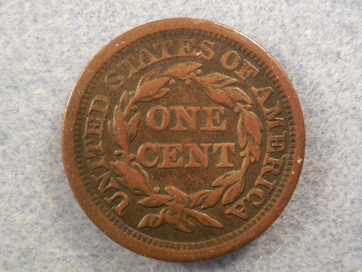 DSCN9851.JPG