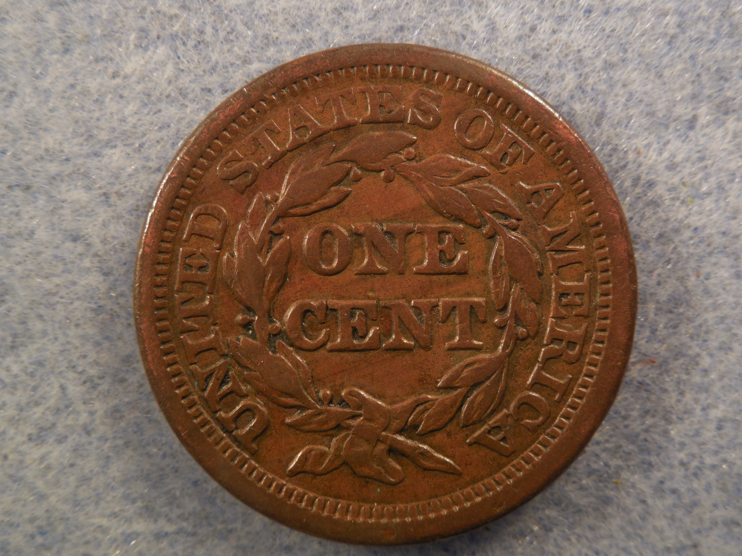 DSCN9856.JPG