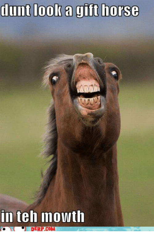 dunt-look-a-gift-horse-n-teh-inowth-derp-com-32802636.png