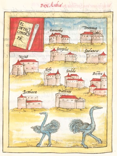 DuxArab-M.jpg