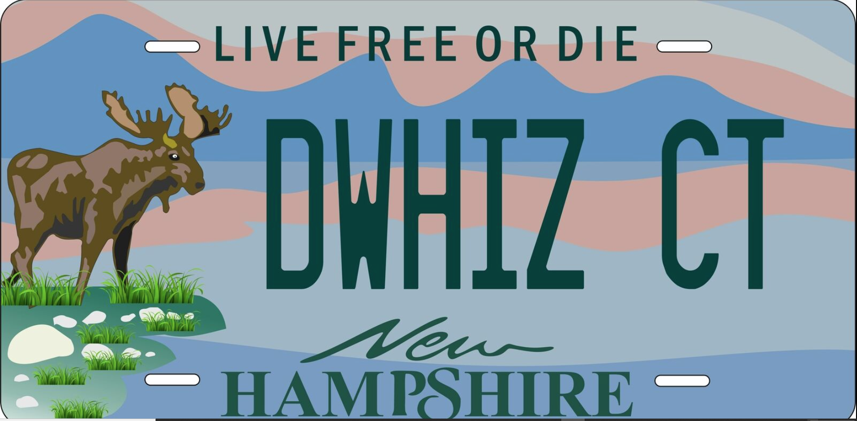 DWHIZ CT plate.png