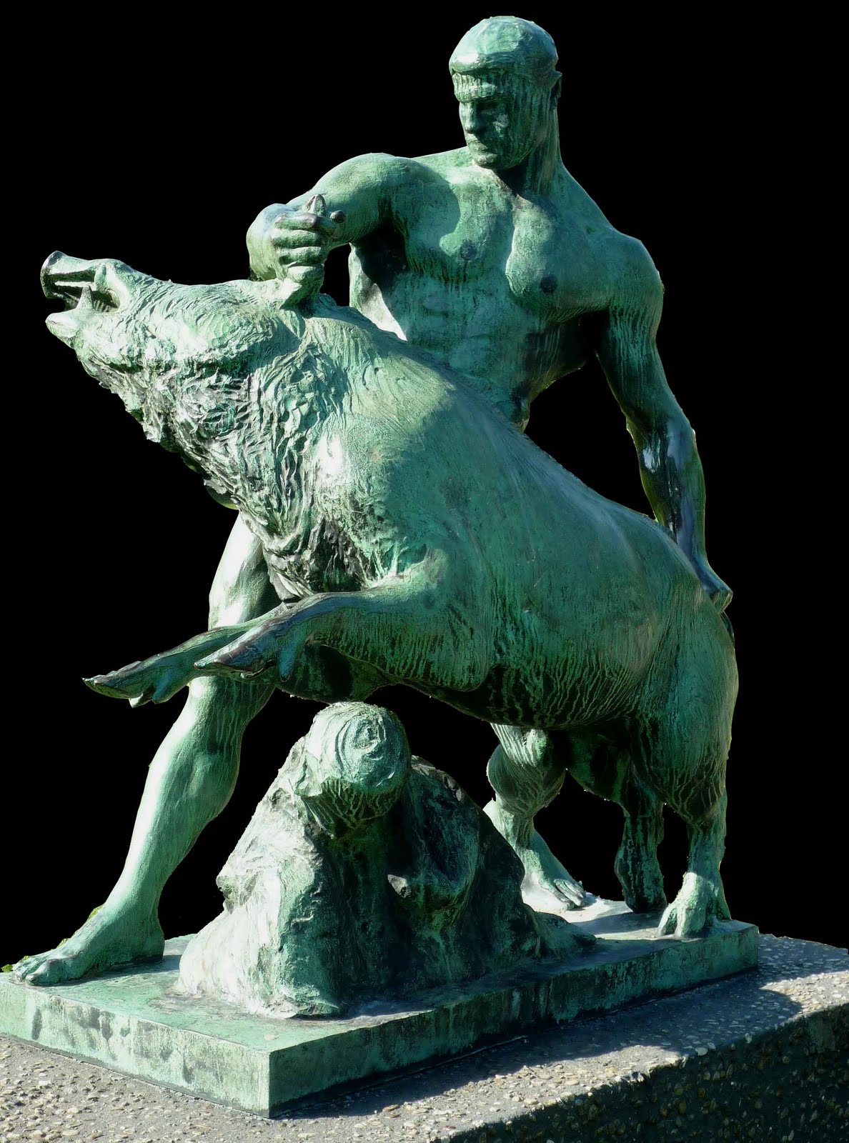 e-boar photo 4.jpg