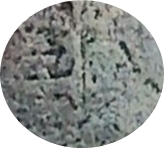E.jpg