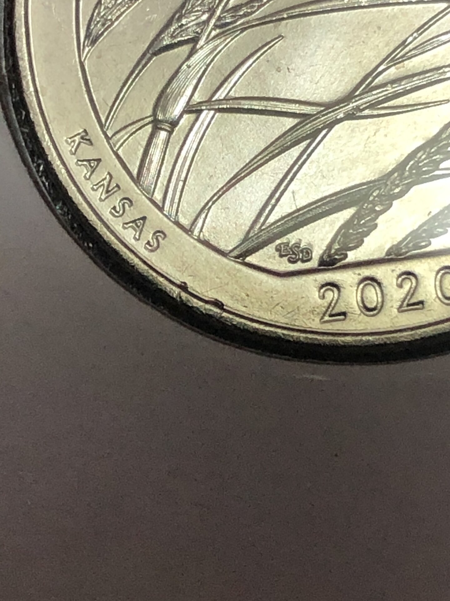 E212D155-7397-4323-BF9E-340AAF915398.jpeg
