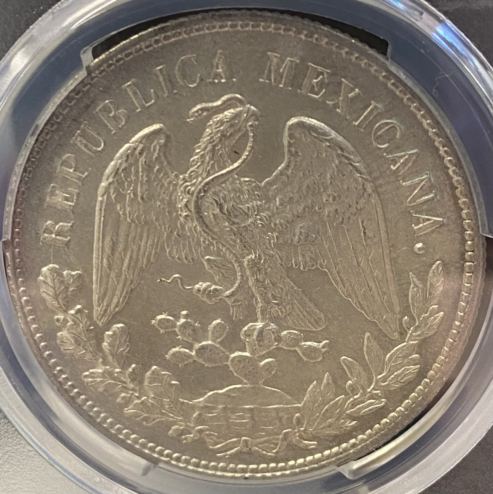 E3F00096-0229-41AC-A18F-34E1E15D1A93.jpeg