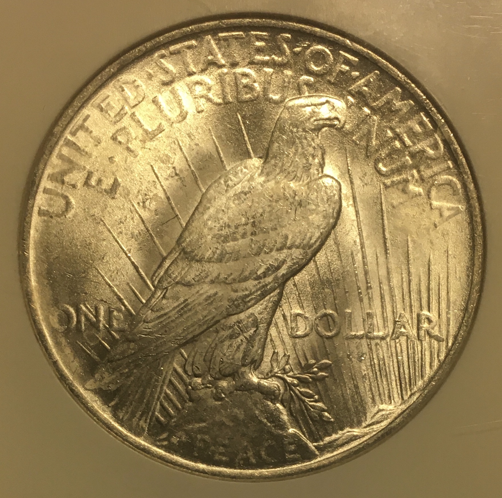 E4131302-3105-4198-AD81-63971B6C7BF4.jpeg