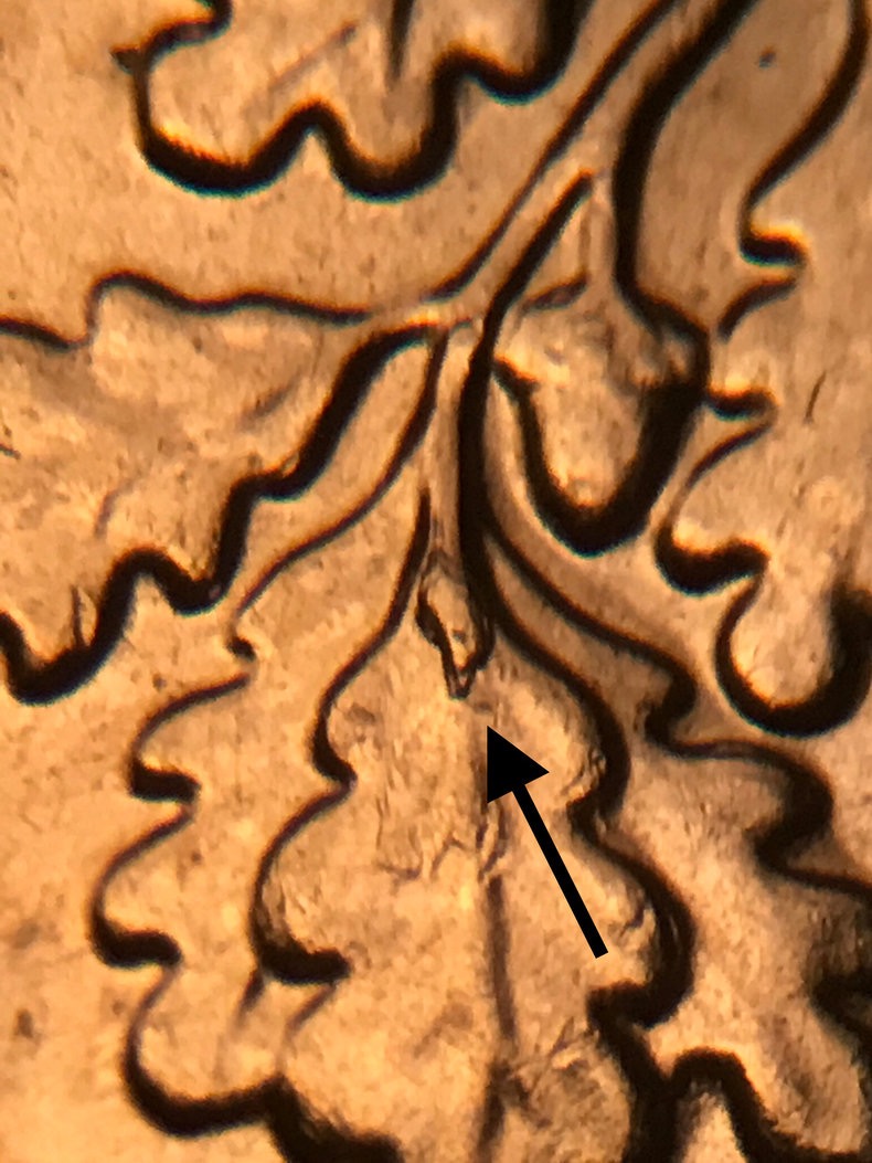 E5E4585D-4573-4094-9051-33F9885C78CE.jpeg