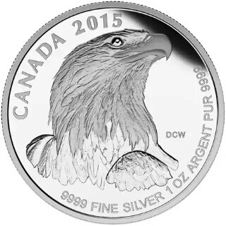 eagle-1.jpg