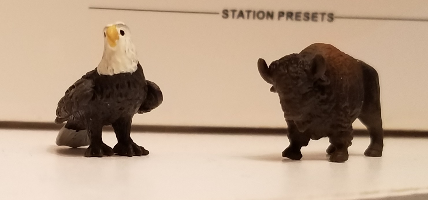 eagle 2.jpg