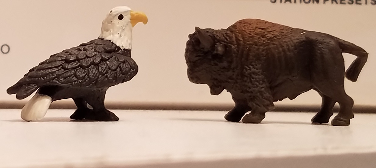 eagle.jpg