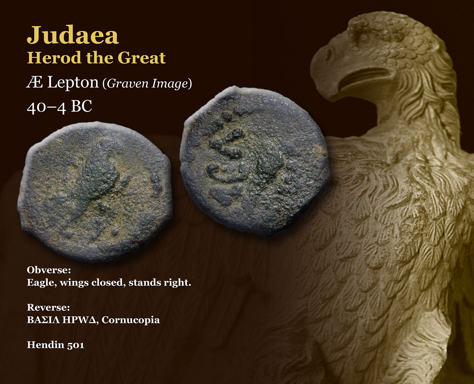 EAGLE JUDAEA.jpg