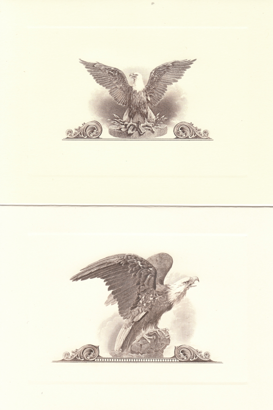 eagle note cards.jpg