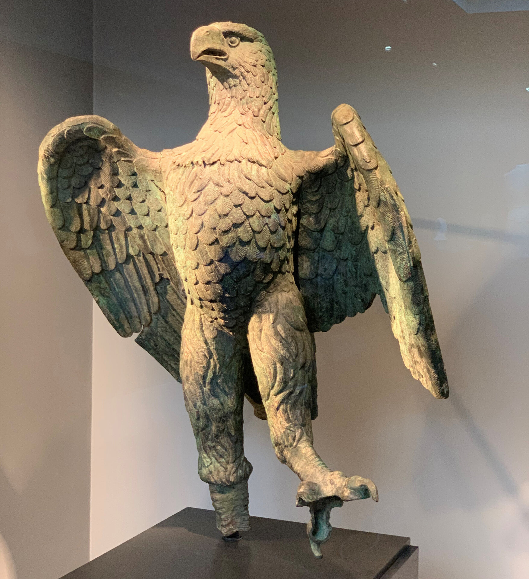eagle_CSH.jpg