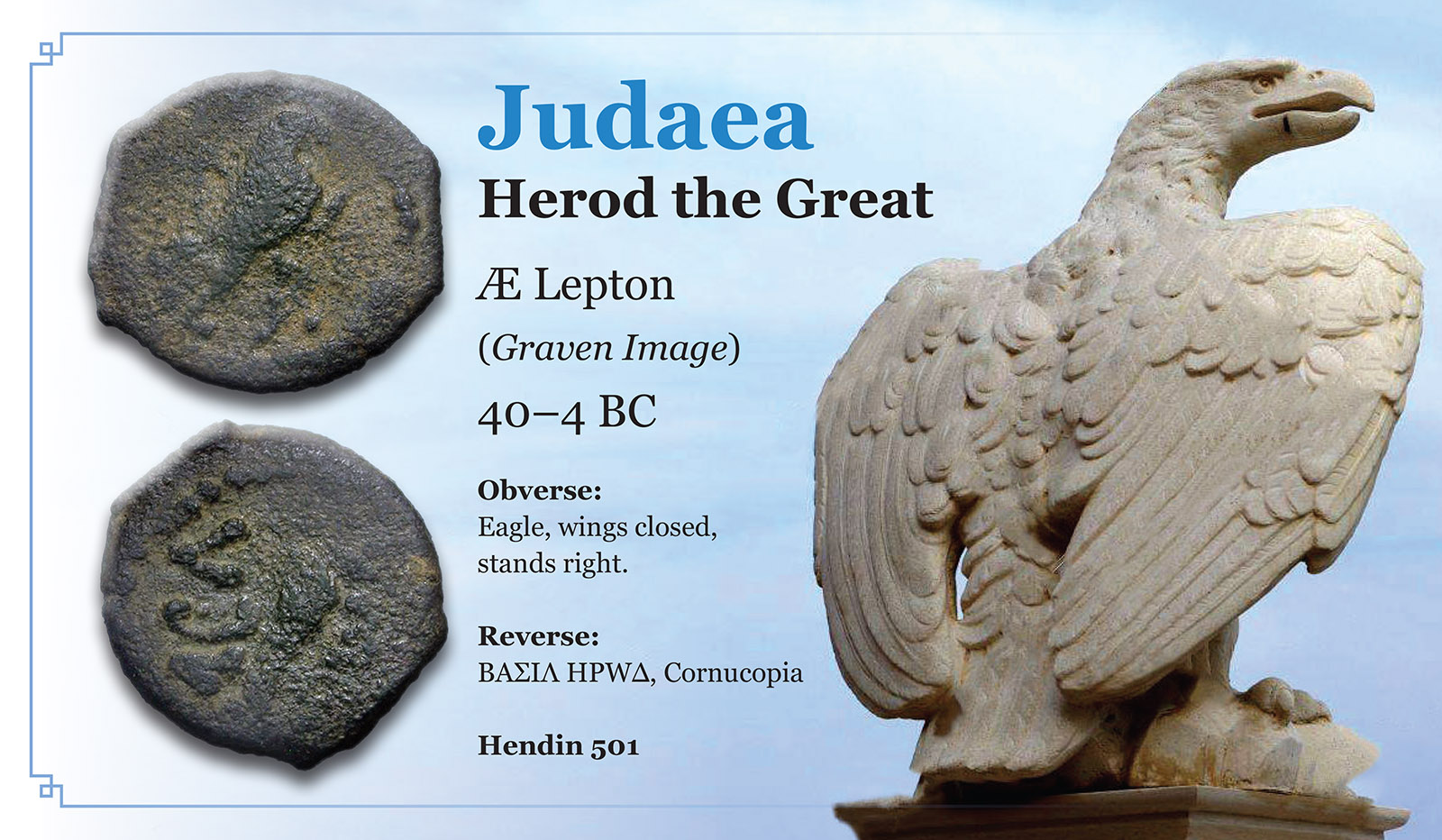EAGLE_JUDAEA_2.jpg