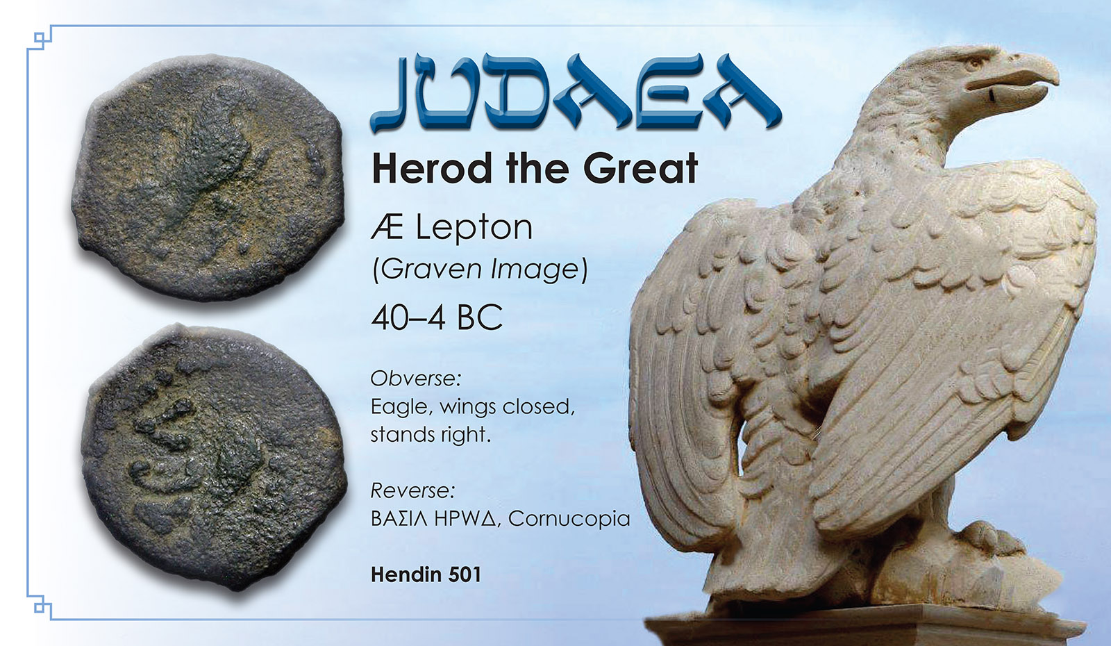 EAGLE_JUDAEA_3.jpg