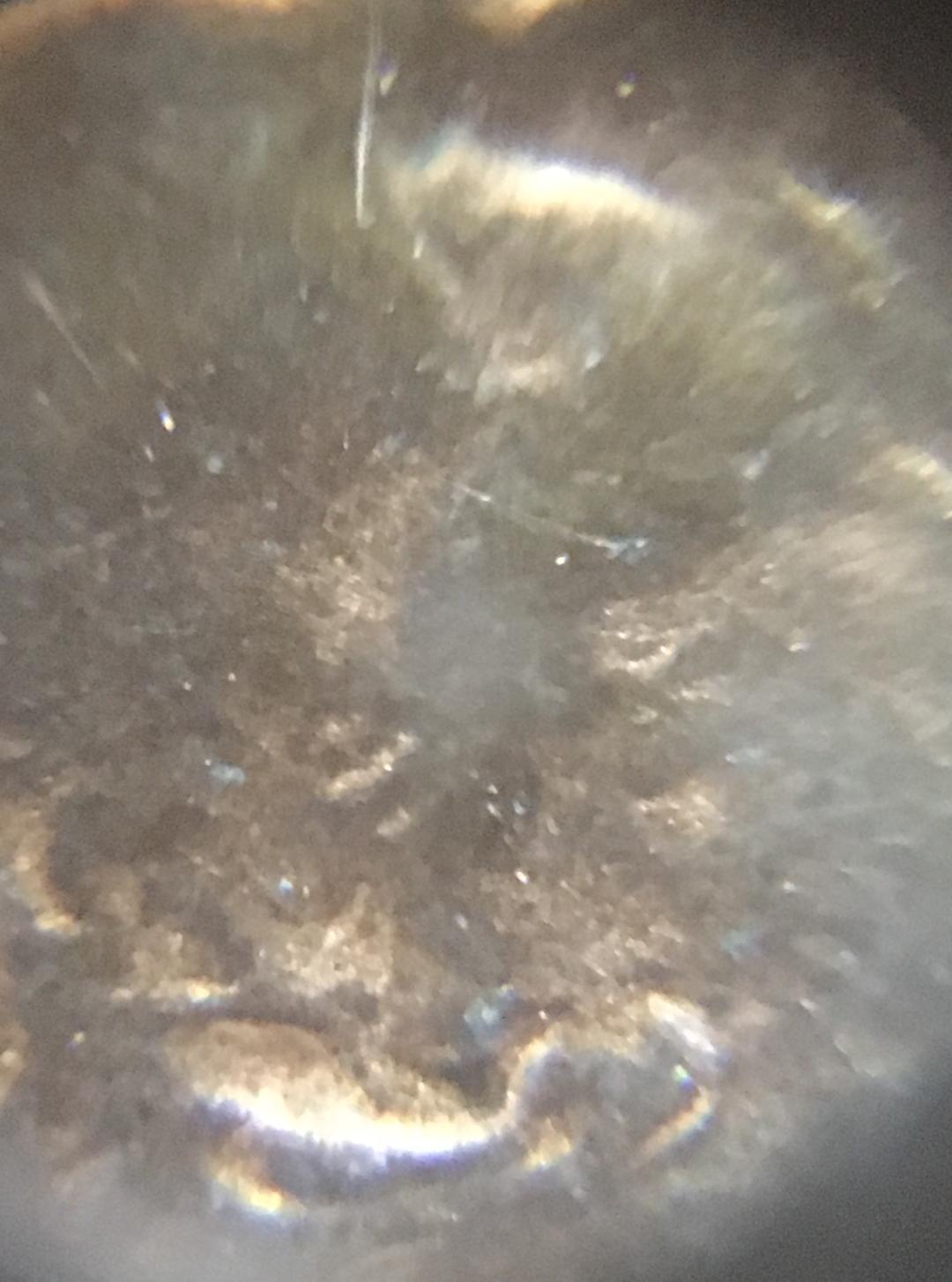 ear1.jpg