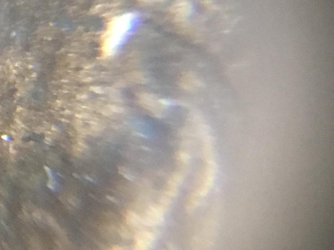 ear5.jpg