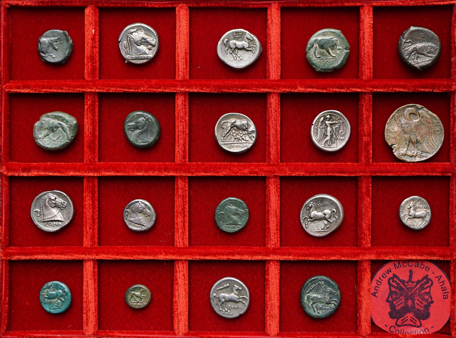 early roman didrachm and litra coinage (1).JPG