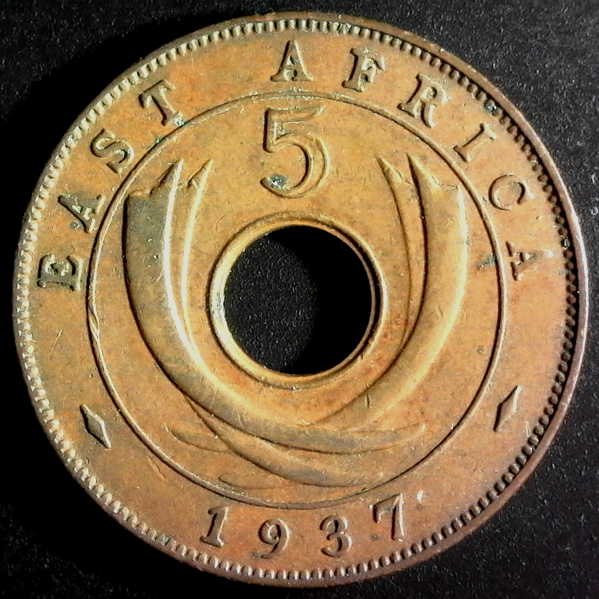 East Africa Five Cents 1937H rev.jpg