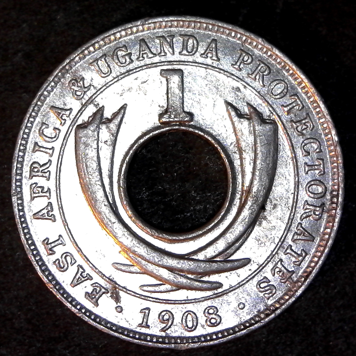 East Africa One Cent 1908 obv A.jpg