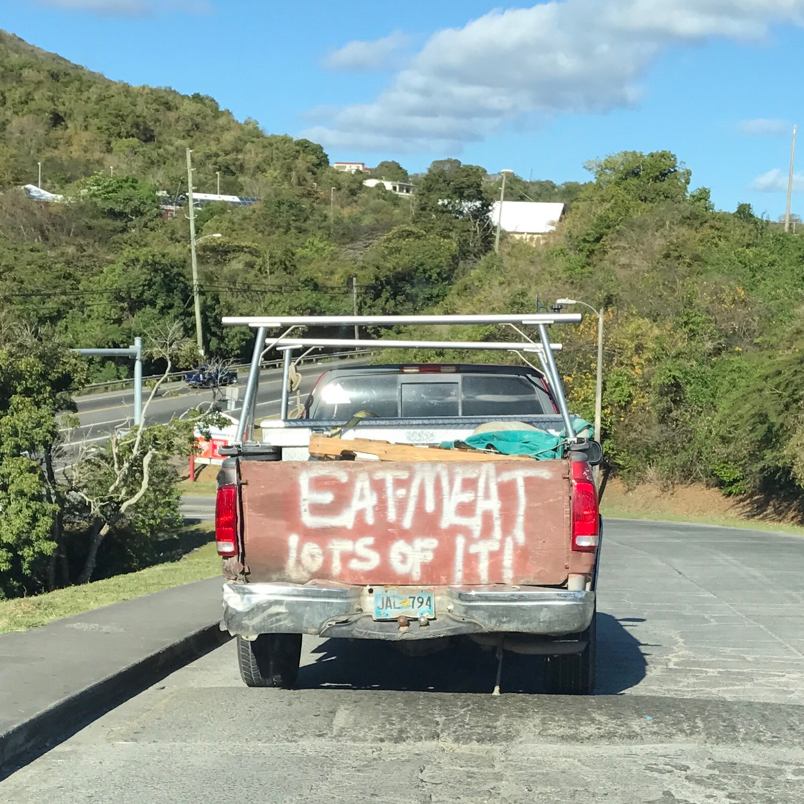 EatMeatLotsOfIt-truck.jpg