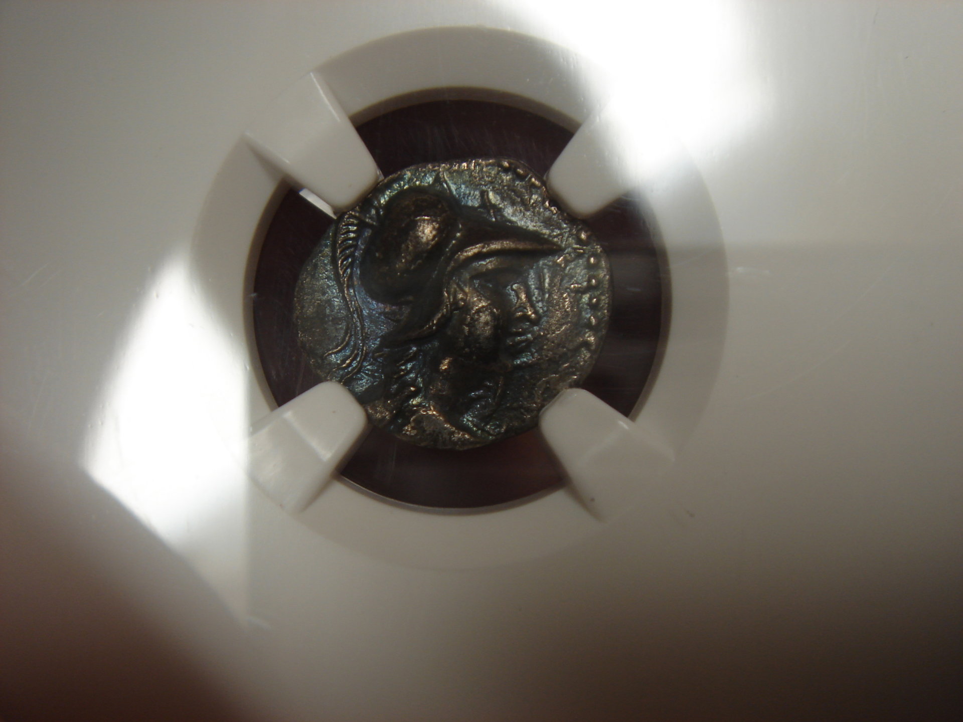 ebay 026.JPG