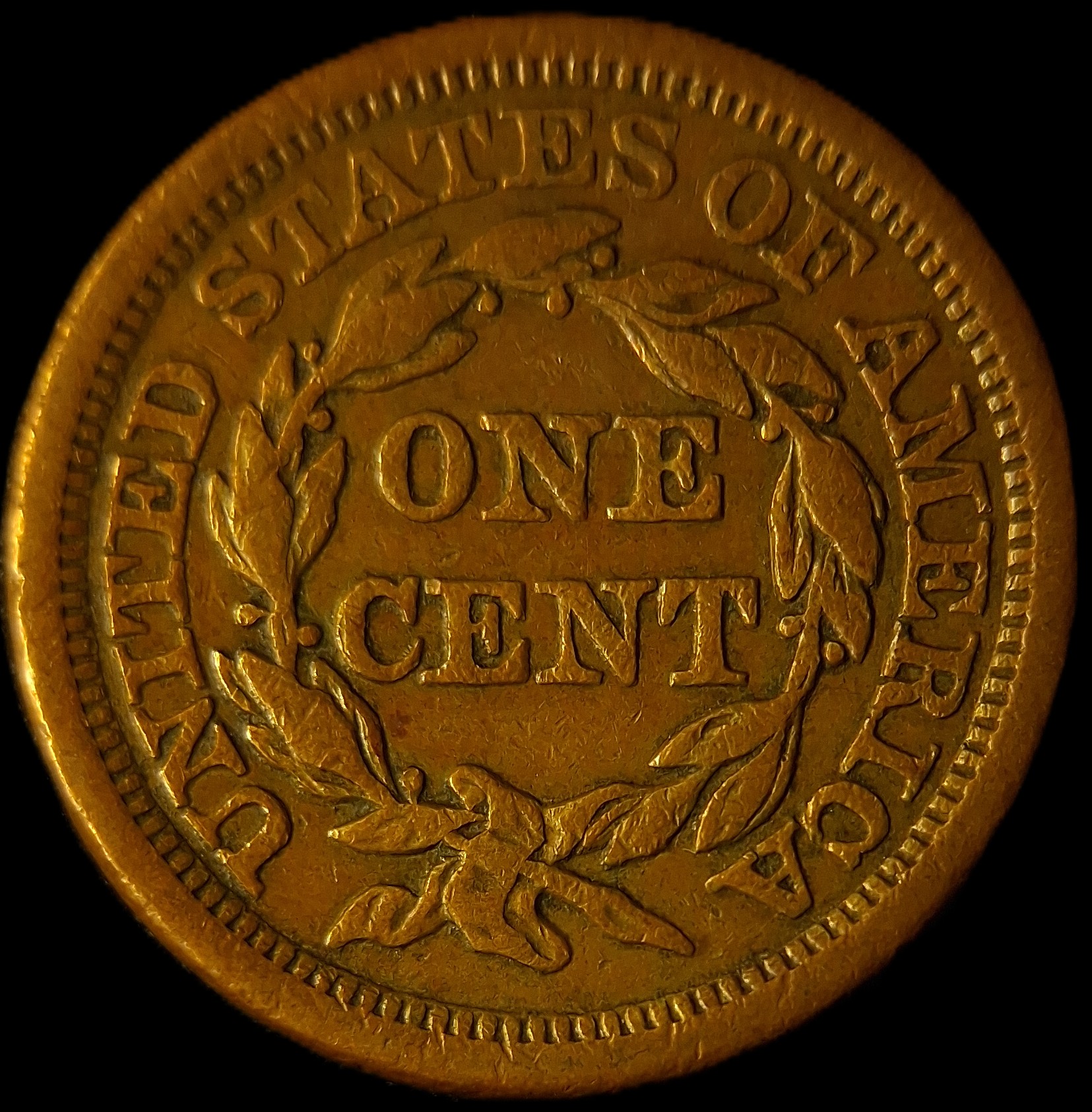 eBay #181 - 1855 Large One Cent - Slanted 5's - Reverse - Hi Rez.jpg