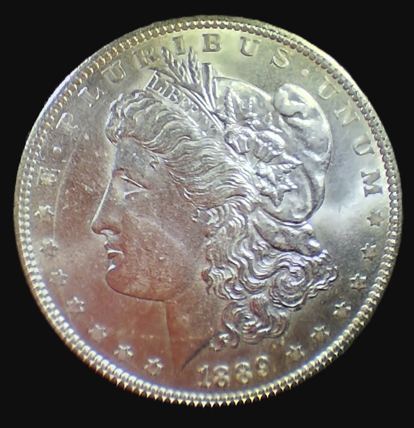 eBay #37 - 1889 Morgan - Obverse - for Coin Talk.jpg