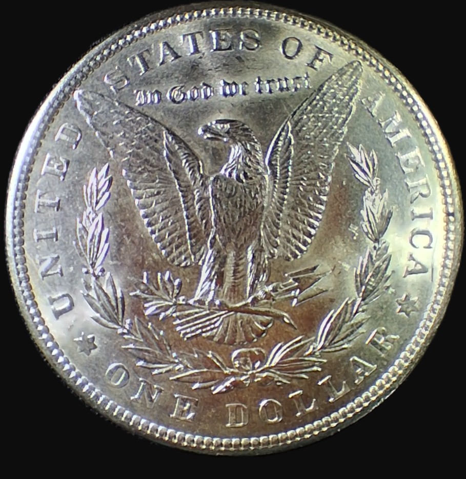 eBay #37 - 1889 Morgan - Reverse - for Coin Talk.jpg