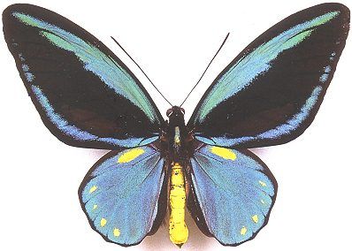 ec3f151c894367fe1ddb4b1e5d1978ce.jpg