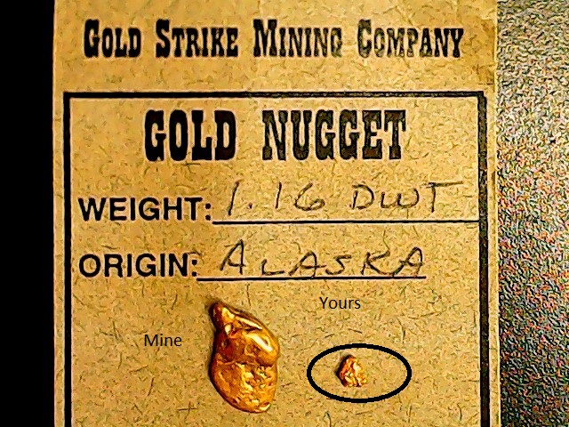 ed gold-2-2.jpg