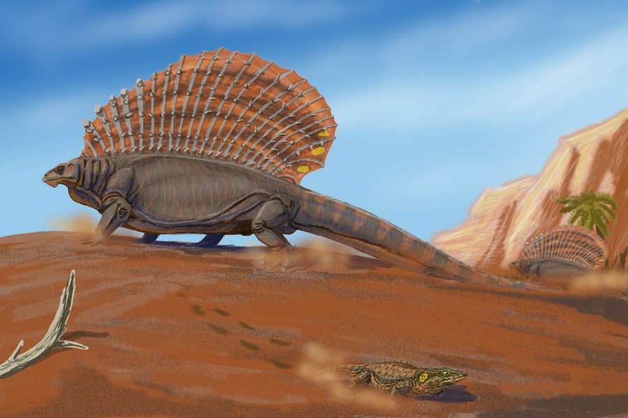 Edaphosaurus_pogonias.jpg