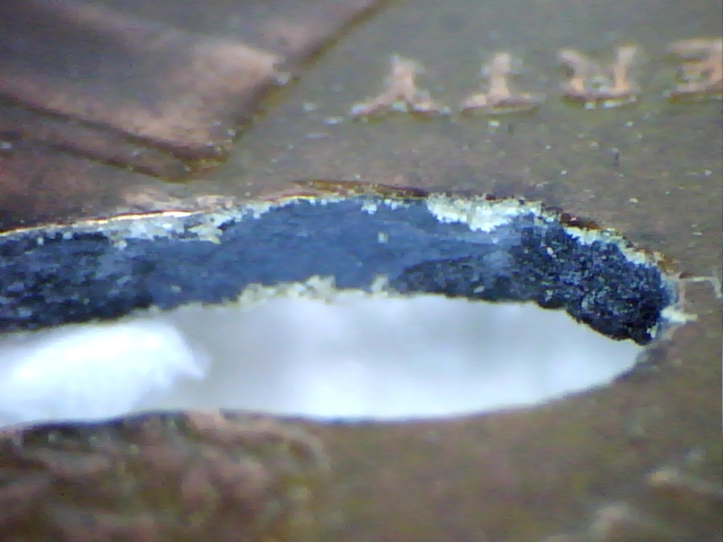 edge1.jpg