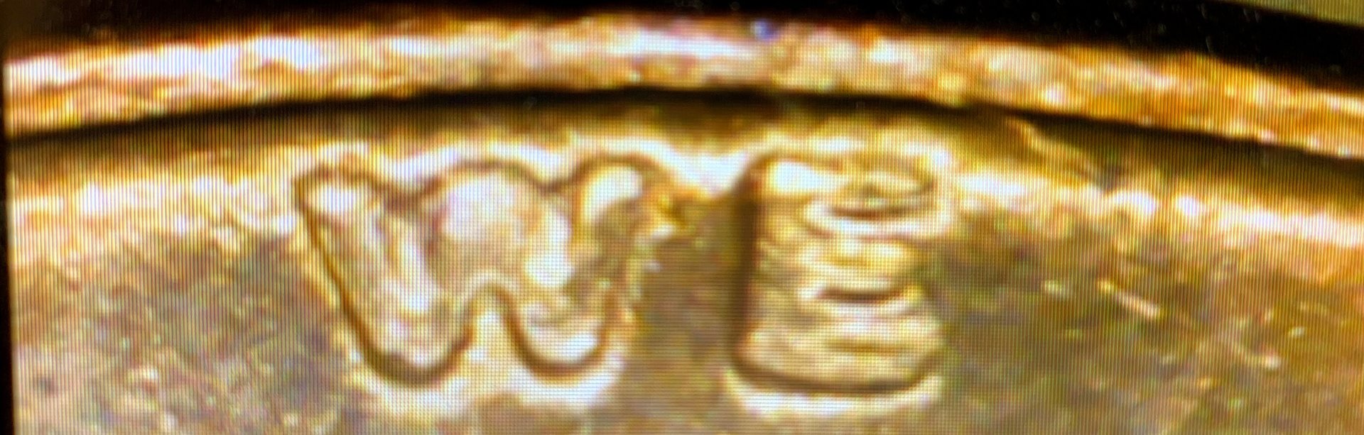 EE00CB59-DDB2-41A5-BD34-5A0B92DB6F71.jpeg
