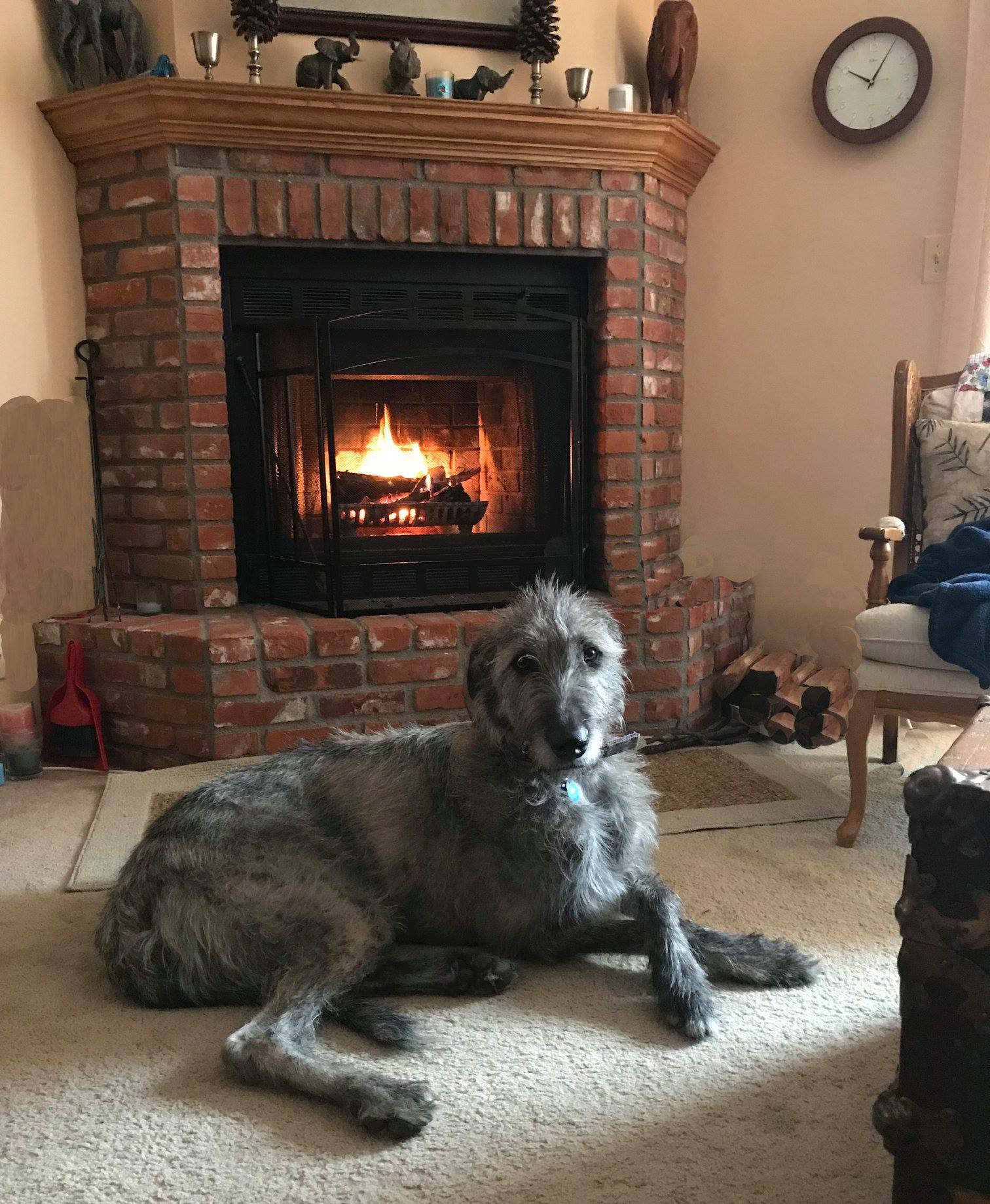 Egan in front of Fireplace.jpg